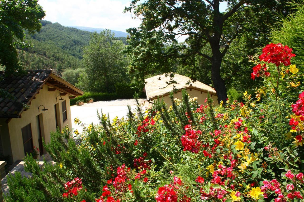 Agriturismo Le Case Assis Exterior foto