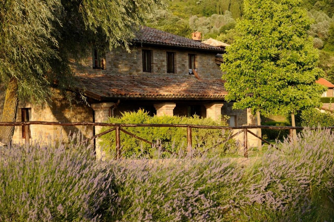 Agriturismo Le Case Assis Exterior foto
